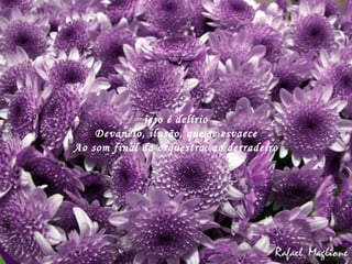 isso é delírio Devaneio, ilusão, que se esvaece Ao som final da orquestra, ao derradeiro 