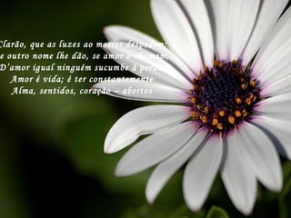 Clarão, que as luzes ao morrer despedem: Se outro nome lhe dão, se amor o chamam, D’amor igual ninguém sucumbe à perda. Amor é vida; é ter constantemente Alma, sentidos, coração – abertos 