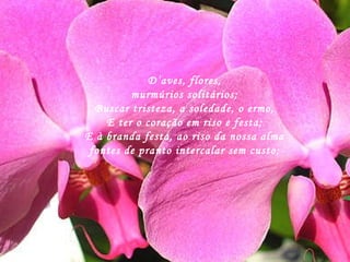 D’aves, flores, murmúrios solitários; Buscar tristeza, a soledade, o ermo, E ter o coração em riso e festa; E à branda festa, ao riso da nossa alma fontes de pranto intercalar sem custo; 