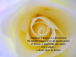 Conhecer o prazer e a desventura No mesmo tempo, e ser no mesmo ponto O ditoso, o misérrimo dos entes; Isso é amor... e desse amor se morre! 