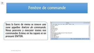 Fenêtre de commande
Sous la barre de menu se trouve une
zone appellee fenêtre de commande.
Nous pouvons y executer toutes nos
commandes Eviews en les tapant et en
pressant ENTER.
Carl Nally Régi Simon
 