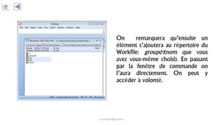 On remarquera qu’ensuite un
élément s’ajoutera au répertoire du
Workfile: group01(nom que vous
avez vous-même choisi). En passant
par la fenêtre de commande on
l’aura directement. On peut y
accéder à volonté.
Carl Nally Régi Simon
 