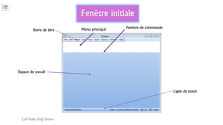 Fenêtre initiale
Carl Nally Régi Simon
Barre de titre Menu principal Fenêtre de commande
Espace de travail
Ligne de statut
 