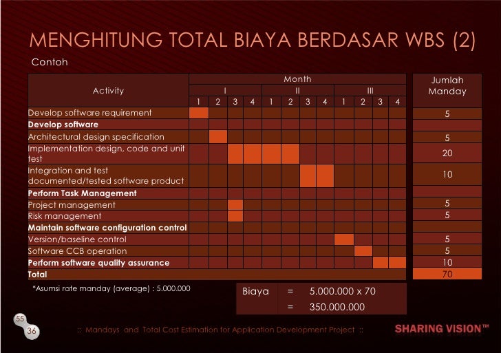 Mandays Dan Total Cost Estimation For Application 