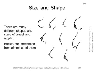 Sesi 12 Breast and nipple conditions