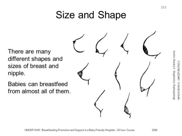 different nipple sizes for bottles