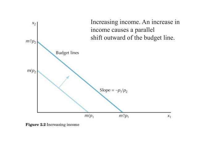 Budget Constraint.ppt