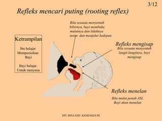 Sesi 3 Cara Kerja Menyusui PADA BAYI BALITA.ppt