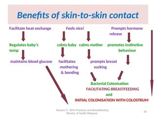 Benefits of skin-to-skin contact
Facilitate heat exchange Feels nice! Prompts hormone
release
Regulates baby’s calms baby calms mother promotes instinctive
temp behaviour
maintains blood glucose facilitates prompts breast
mothering sucking
& bonding
Bacterial Colonisation
FACILITATING BREASTFEEDING
and
INITIAL COLONISATION WITH COLOSTRUM
36
Session 5 : Birth Practices and Breastfeeding
Ministry of Health Malaysia
 