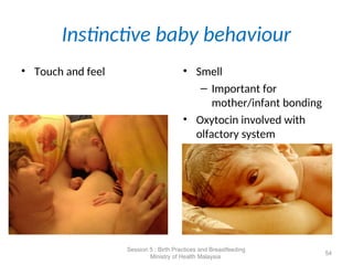 Instinctive baby behaviour
• Touch and feel • Smell
– Important for
mother/infant bonding
• Oxytocin involved with
olfactory system
54
Session 5 : Birth Practices and Breastfeeding
Ministry of Health Malaysia
 