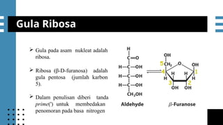 mmmmSesi 5 Protein dan Asam Nukleat.pptx