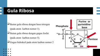 mmmmSesi 5 Protein dan Asam Nukleat.pptx