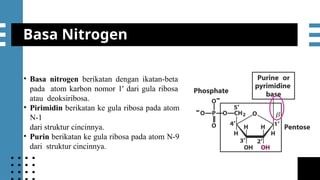 mmmmSesi 5 Protein dan Asam Nukleat.pptx