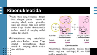 mmmmSesi 5 Protein dan Asam Nukleat.pptx