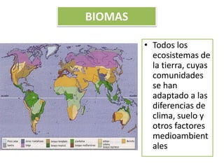 BIOMAS 
• Todos los 
ecosistemas de 
la tierra, cuyas 
comunidades 
se han 
adaptado a las 
diferencias de 
clima, suelo y 
otros factores 
medioambient 
ales 
 