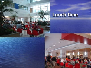 Lunch time 