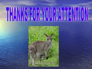THANKS FOR YOUR ATTENTION 