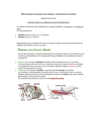 SesióN De Aprendizaje