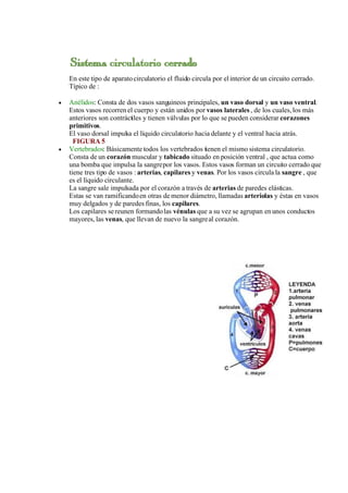 SesióN De Aprendizaje
