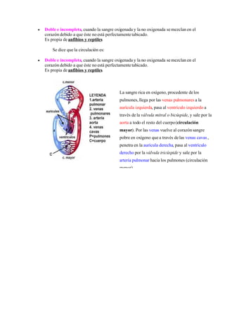 SesióN De Aprendizaje