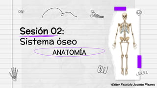 ANATOMÍA
Sesión 02:
Sistema óseo
Walter Fabrizio Jacinto Pizarro
 