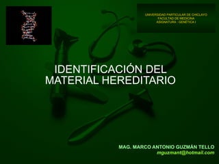 MAG. MARCO ANTONIO GUZMÁN TELLO [email_address] IDENTIFICACIÓN DEL MATERIAL HEREDITARIO UNIVERSIDAD PARTICULAR DE CHICLAYO FACULTAD DE MEDICINA ASIGNATURA : GENÉTICA I 