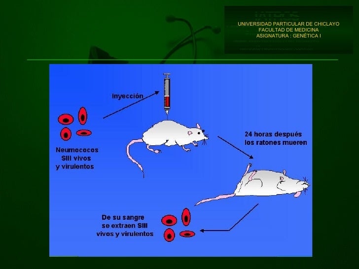 SesióN 02 Identificacion Del Material Hereditario