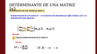 Matriz Real SESIÓN 04.pptx clasess de calculo clasess de calculo | PPTX