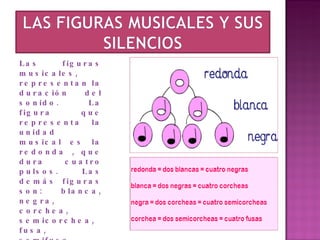 Las figuras musicales, representan la duración del sonido. La figura que representa la unidad musical es la redonda , que dura cuatro pulsos. Las demás figuras son: blanca, negra, corchea, semicorchea, fusa, semifusa.