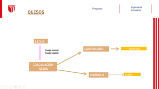 QUESOS
LECHE
COAGULACIÓN
ÁCIDA
LACTOSUERO
COÁGULO
Cuajo animal
Cuajovegetal
QUESO
REQUESÓN
 