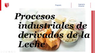 Procesos
industriales de
derivados de la
Leche
 