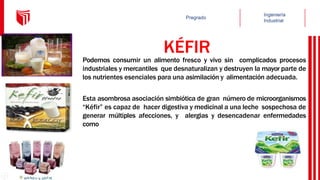 KÉFIR
Podemos consumir un alimento fresco y vivo sin complicados procesos
industriales y mercantiles que desnaturalizan y destruyen la mayor parte de
los nutrientes esenciales para una asimilación y alimentación adecuada.
Esta asombrosa asociación simbiótica de gran número de microorganismos
“Kéfir” es capaz de hacer digestiva y medicinal a una leche sospechosa de
generar múltiples afecciones, y alergias y desencadenar enfermedades
como
 