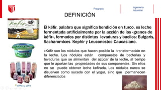 DEFINICIÓN
El kéfir, palabra que significa bendición en turco, es leche
fermentada artificialmente por la acción de los «granos de
kéfir», formados por distintas levaduras y bacilos: Bulgaris,
Sacharomices Kephir y Leuconostoc Caucasiano.
Kéfir son los nódulos que hacen posible la transformación en
la leche. Los nódulos están compuestos de bacterias y
levaduras que se alimentan del azúcar de la leche, al tiempo
que le aportan las propiedades de sus componentes. Sin ellos
no se puede obtener leche kefirada. Los nódulos nunca se
disuelven como sucede con el yogur, sino que permanecen
diferenciados
 
