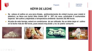 KÉFIR DE LECHE
 Se coloca el cultivo en una jarra limpia, preferentemente de cristal (nunca usar metal ni
plástico), se llena con leche tibia (hasta 28º ó 30º) de vaca, echándole 2 cucharadas
soperas del cultivo y dejándolo a temperatura ambiente durante 24/48 horas.
 Al cabo de este tiempo, estará en condiciones de ser utilizado. No se debe dejar el cultivo
en la leche más de 48 horas, pues estará muy ácido y no se podrá consumir.
 