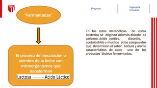 En las rutas metabólicas de estas
bacterias se originan además dióxido de
carbono, ácido acético, diacetilo,
acetaldehído y muchos otros compuestos
que determinan el sabor, textura y aroma
característicos de cada uno de los
productos lácteos fermentados.
“Fermentadas”
El proceso de inoculación o
siembra de la leche con
microorganismos que
transforman
 