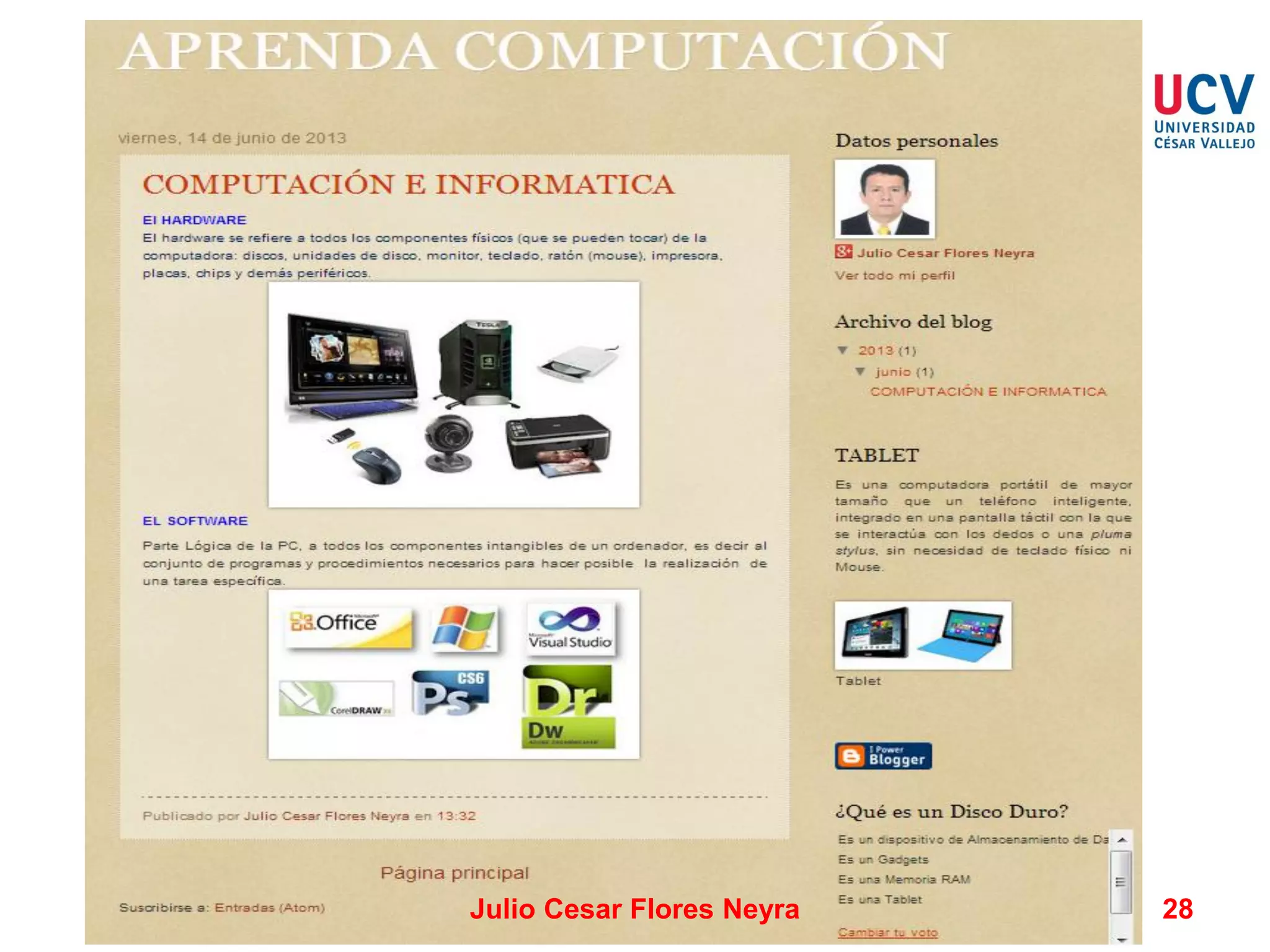 Julio Cesar Flores Neyra

28

 