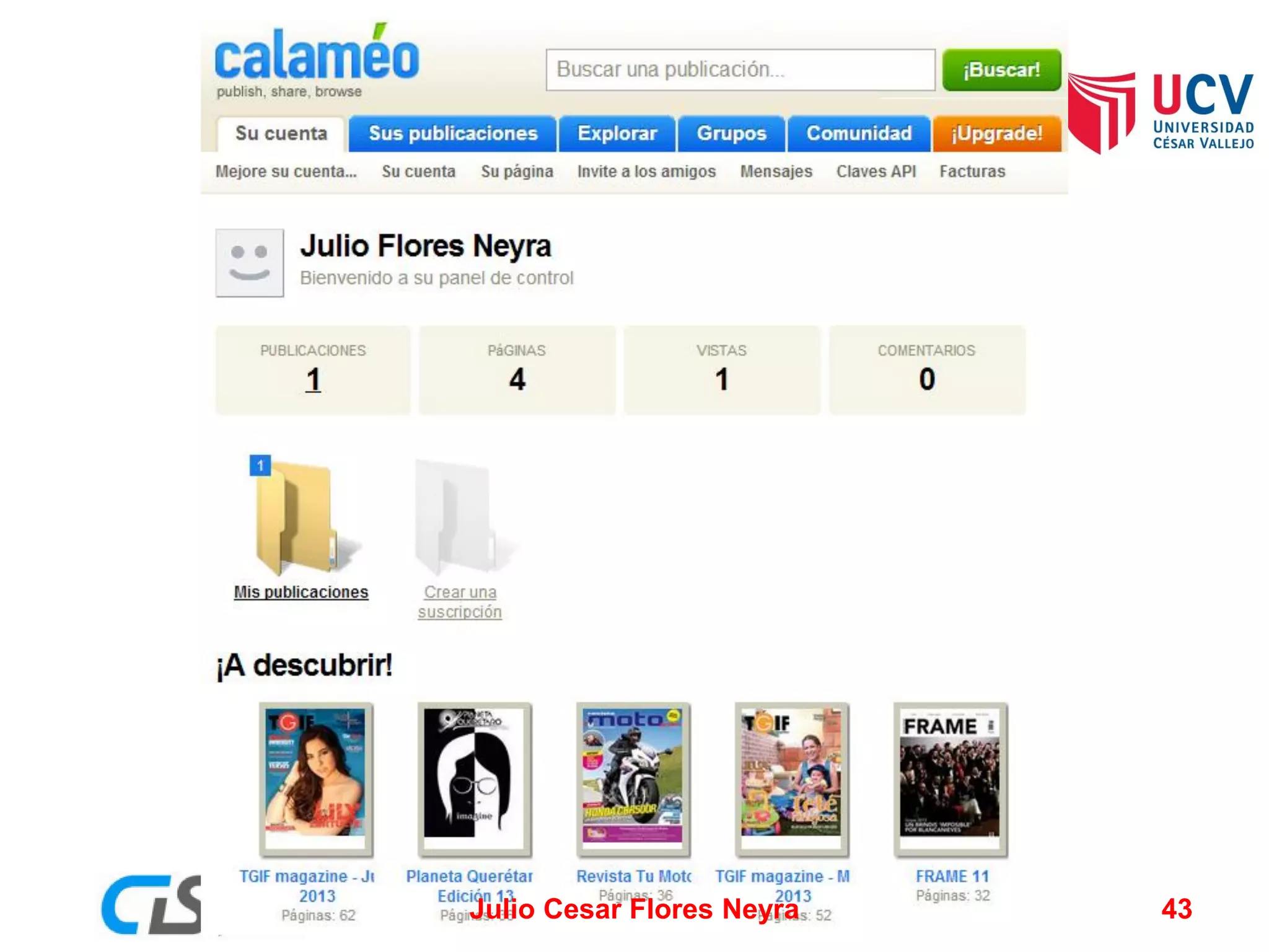 Julio Cesar Flores Neyra

43

 