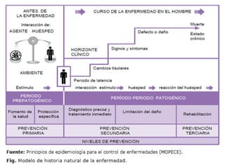 Sesión 1 Introduccion a la Salud publica