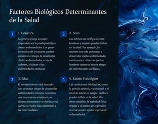 Factores Biológicos Determinantes
de la Salud
1 1. Genética
La genética juega un papel
importante en la predisposición a
ciertas enfermedades. Los genes
heredados de los padres pueden
aumentar el riesgo de desarrollar
ciertas enfermedades, como la
diabetes, el cáncer o las
enfermedades cardíacas.
2 2. Sexo
Las diferencias biológicas entre
hombres y mujeres pueden influir
en la salud. Por ejemplo, las
mujeres son más propensas a
desarrollar ciertas enfermedades
autoinmunes, mientras que los
hombres tienen un mayor riesgo
de enfermedades cardíacas.
3 3. Edad
El envejecimiento está asociado
con un mayor riesgo de desarrollar
enfermedades crónicas. A medida
que las personas envejecen, su
sistema inmunitario se debilita y su
cuerpo se vuelve más vulnerable a
las enfermedades.
4 4. Estado Fisiológico
Las condiciones fisiológicas, como
la presión arterial, el colesterol y el
nivel de azúcar en sangre, también
pueden influir en la salud. Una
dieta saludable, la actividad física
regular y el control de la presión
arterial pueden ayudar a prevenir
enfermedades.
 