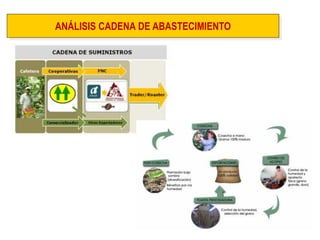 ANÁLISIS CADENA DE ABASTECIMIENTO  