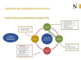 DERECHO DE PROPIEDAD INTELECTUAL
 