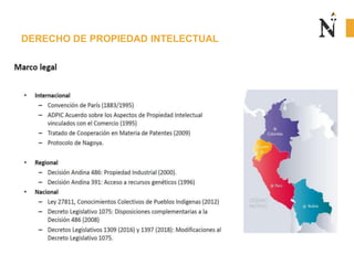 DERECHO DE PROPIEDAD INTELECTUAL
 