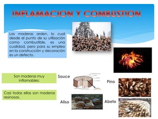 Las maderas arden, lo cual
desde el punto de su utilización
como combustible, es una
cualidad, pero para su empleo
en la construcción y decoración
es un defecto.
Son maderas muy
inflamables: Pino
Abeto
Sauce
Aliso
Casi todas ellas son maderas
resinosas.
 
