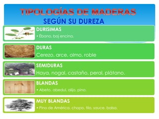 SEGÚN SU DUREZA
DURISIMAS
• Ébano, boj encina.
DURAS
Cerezo, arce, olmo, roble
SEMIDURAS
Haya, nogal, castaño, peral, plátano.
BLANDAS
• Abeto, abedul, alijo, pino.
MUY BLANDAS
• Pino de América, chopo, tilo, sauce, balsa.
 