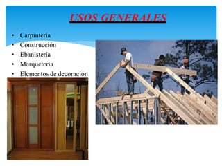USOS GENERALES
• Carpintería
• Construcción
• Ebanistería
• Marquetería
• Elementos de decoración
 