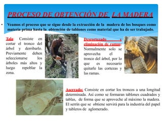 PROCESO DE OBTENCIÓN DE LA MADERA
Tala: Consiste en
cortar el tronco del
árbol y derribarlo.
Previamente deben
seleccionarse los
árboles más altos y
luego repoblar la
zona.
Descortezado y
eliminación de ramas:
Normalmente solo se
aprovecha el
tronco del árbol, por lo
que es necesario
quitarle las cortezas y
las ramas.
• Veamos el proceso que se sigue desde la extracción de la madera de los bosques como
materia prima hasta la obtención de tablones como material que ha de ser trabajado.
Aserrado: Consiste en cortar los troncos a una longitud
determinada. Así como se formaran tablones cuadrados y
tablas, de forma que se aproveche al máximo la madera.
El serrín que se obtiene servirá para la industria del papel
y tableros de aglomerado.
 