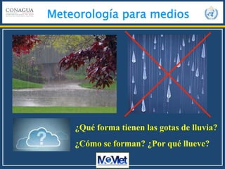 Meteorología para medios
¿Cómo se forman? ¿Por qué llueve?
¿Qué forma tienen las gotas de lluvia?
 