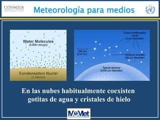 Meteorología para medios
En las nubes habitualmente coexisten
gotitas de agua y cristales de hielo
 