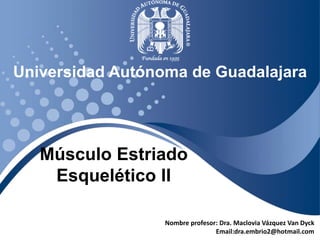 Universidad Autónoma de Guadalajara 
Nombre profesor: Dra. Maclovia Vázquez Van Dyck 
Email:dra.embrio2@hotmail.com 
Músculo Estriado 
Esquelético II 
 