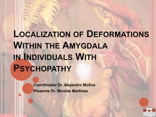 Localization of Deformations Within the Amygdalain IndividualsWithPsychopathy Coordinador Dr. Alejandro Molina Presenta Dr. Nicolás Martínez 
